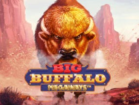 game logo by Skywind Group on dublinbetcasino.eu
