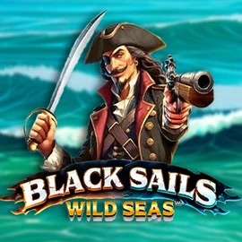 Official Slots logo: Black Sails Wild Seas by Infinity Dragon Studios at DublinBet Casino