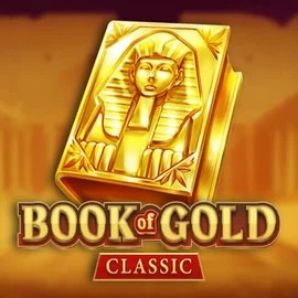 game logo by Playson on dublinbetcasino.eu