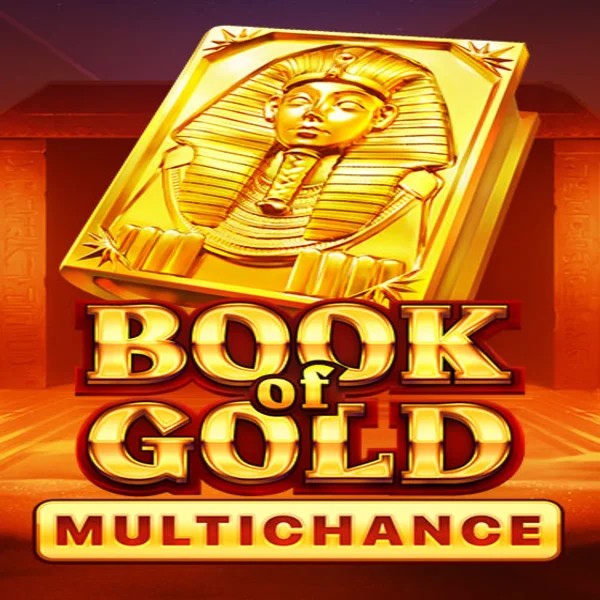 Book of Gold Multichance logo – Slots by Playson at DublinBet Casino
