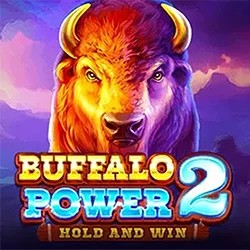 Buffalo Power 2: Hold and Win online game logo by Playson on dublinbetcasino.eu