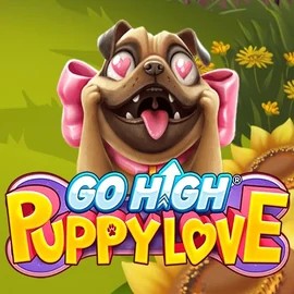 game logo by RubyPlay on dublinbetcasino.eu